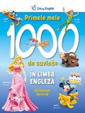 Cumpara ieftin Primele mele 1000 de cuvinte &icirc;n limba engleză. Dicționar ilustrat, Litera