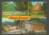 CPIB 18834 CARTE POSTALA - POIANA BRASOV, MOZAIC, Circulata, Fotografie