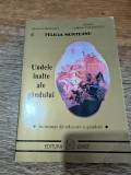 Undele inalte ale gandului - Felicia Munteanu, 1999, stare buna / R2P2S