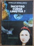 Romulus Barbulescu - Incotro curge linistea?