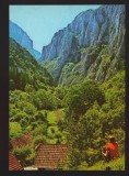 CPIB 22919 - CARTE POSTALA - MUNTII APUSENI. CHEILE TURZII