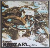 Disc vinil, LP. Magyarozdi Nepzene-Formatia Bodzafa Egyuttes, Voce Enekel Panek Kati-251495, Electrecord