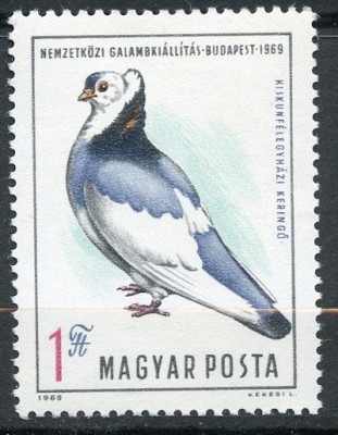 B1652 - Ungaria 1969 - Pasari.neuzat,perfecta stare foto