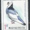 B1652 - Ungaria 1969 - Pasari.neuzat,perfecta stare