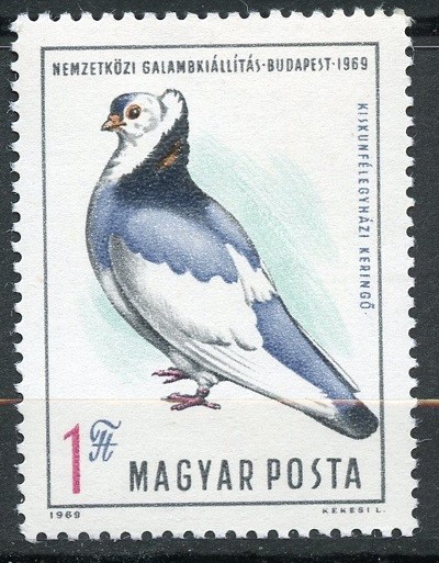 B1652 - Ungaria 1969 - Pasari.neuzat,perfecta stare