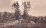 Pod pe soseaua Resitei 1923 (necirculata)