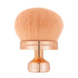 Cumpara ieftin Pamatuf Unghii Touch - LUXORISE, Silky Rose Gold