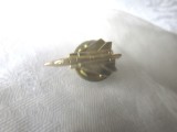 Insigna - pin Avion de lupta [3]. Aurie, Noua, in protectie