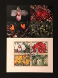 Plic Prima Zi FDC ONU Geneva 1996 Specii Amenințate cu Extincția Flori Rare Orhidee Plantă Carnivoră Bloc 4 Timbre - A992