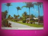 HOPCT 8296 PALMIERI COCOS LAKE WORTH FLORIDA -SUA-AMERICA DE NORD -NECIRCULATA-