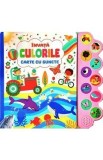 Invata culorile. Carte cu sunete