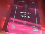 MINEIUL PE IUNIE. INSTITUTUL BIBLIC 2012 CU BINECUVANTAREA PF DANIEL