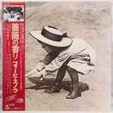 Vinil LP &quot;Japan Press&quot; Phoebe Snow &ndash; Never Letting Go (VG++), Pop