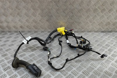 Cablaj ușă st&amp;acirc;nga față BMW iX I20 2022 OEM: 5A54EF7 30695359 foto