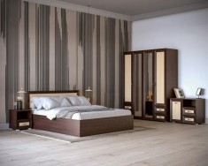 Dormitor Palermo Wenge+Mesteacan