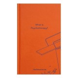 What Is Psychotherapy? (Essay Books)