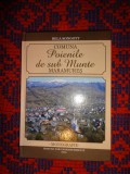 Comuna Poienile de sub Mures / Maramures - Bela Songott ( monografie ) / cartonata, an 2015,317 pagini