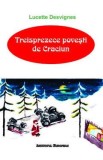 Treisprezece povesti de Craciun - Lucette Desvignes