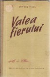 Valea fierului (cartonata) - Dragos Vicol