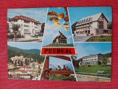 CPIB 23459 CARTE POSTALA - PREDEAL, MOZAIC, CIRCULATA, 1977, STAMPILE, TIMBRU