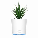 Purificator forma de ghiveci, de aer, cu USB, 12.3 cm inaltime, 7 cm diametru, ABS si plastic, Lumina LED, Silentios, Oem