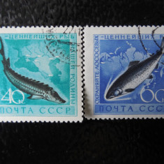 Serie timbre pesti animale fauna URSS stampilate