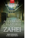 Adevarata calatorie a lui Zahei. Vasile Voiculescu si taina &amp;amp;quot;Rugului Aprins&amp;amp;quot; - Marius Oprea
