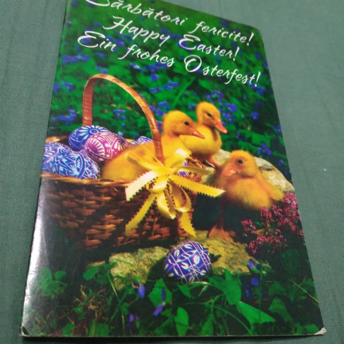 CARTE POSTALA GIGANT - FELICITARE CIRCULATA