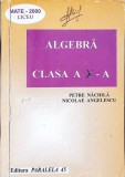 ALGEBRA - CLASA A X-A (PARTEA 1)-PETRE NACHILA, NICOLAE ANGELESCU-353868
