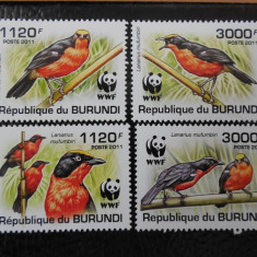 Burundi-Fauna wwf,pasari-serie completa,nestampilate MNH