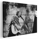 Tablou afis Ed Sheeran cantaret 2284 Tablou canvas pe panza CU RAMA 30x40 cm