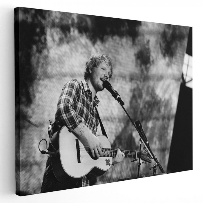 Tablou afis Ed Sheeran cantaret 2284 Tablou canvas pe panza CU RAMA 50x70 cm