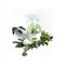 Odorizant de camera spray Ceai Verde