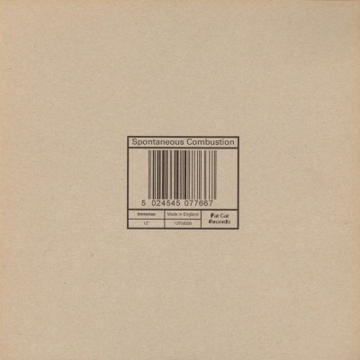 VINIL Immense &amp;lrm;&amp;ndash; Spontaneous Combustion 12&amp;quot;, 33 ⅓ RPM VG+ foto