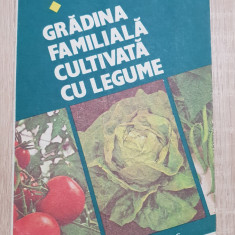 Grădina familială cultivată cu legume - Valentin Voican