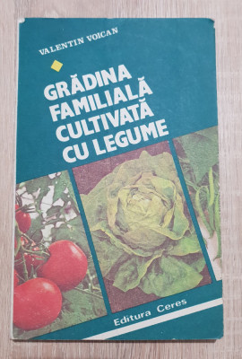 Grădina familială cultivată cu legume - Valentin Voican foto