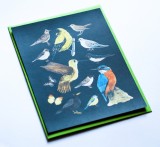 Felicitare - Pasari in plic verde | The Creative Blossom