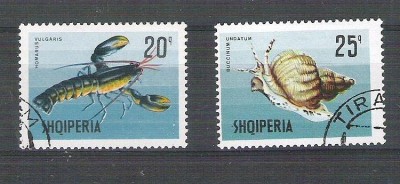 Albania 1968 Marine fauna, used G.218 foto