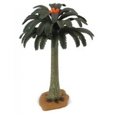 Copac Cycad Collecta