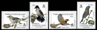 TURKS AND CAICOS 1994 FAUNA PASARI foto