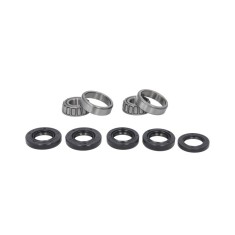 Kit Rulmenti Roata spate Gas Gas All Balls 25-1523
