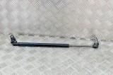 Amortizor capota dreapta față TESLA MODEL S 2017 OEM: 1062634-00-A 14336904