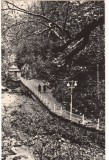 CPIB 22626 - CARTE POSTAL - SLANIC MOLDOVA. ALEE SPRE IZVOARE, RPR, Circulata, Fotografie
