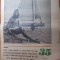veac nou 29 august 1969