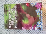 Plante Medicinale Miraculoase din Romania - Ilie Tudor, Artmed, 2004, 406 pagini - Remedii Naturiste