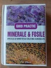 Minerale&amp;fosile Ghid practic