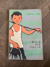 Stefan Luca - Zile de iulie foto