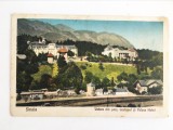 Carte postala veche Sinaia Vedere din parc, Cazinoul si Palace Hotel, interbelic, Necirculata, Printata