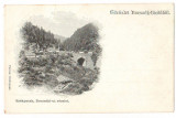 SV * Salutari din BAILE BORSEC * SERPENTINELE * TUNELUL * tip Litho * cca. 1900, Circulata, Necirculata, Fotografie, Printata