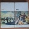 Lion Feuchtwanger - Goya sau anevoiosul drum al cunoasterii 2 volume